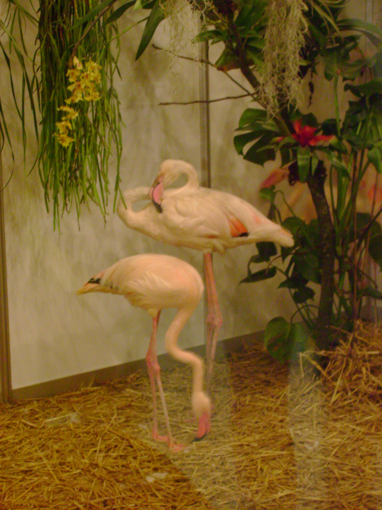 DSC02514.JPG